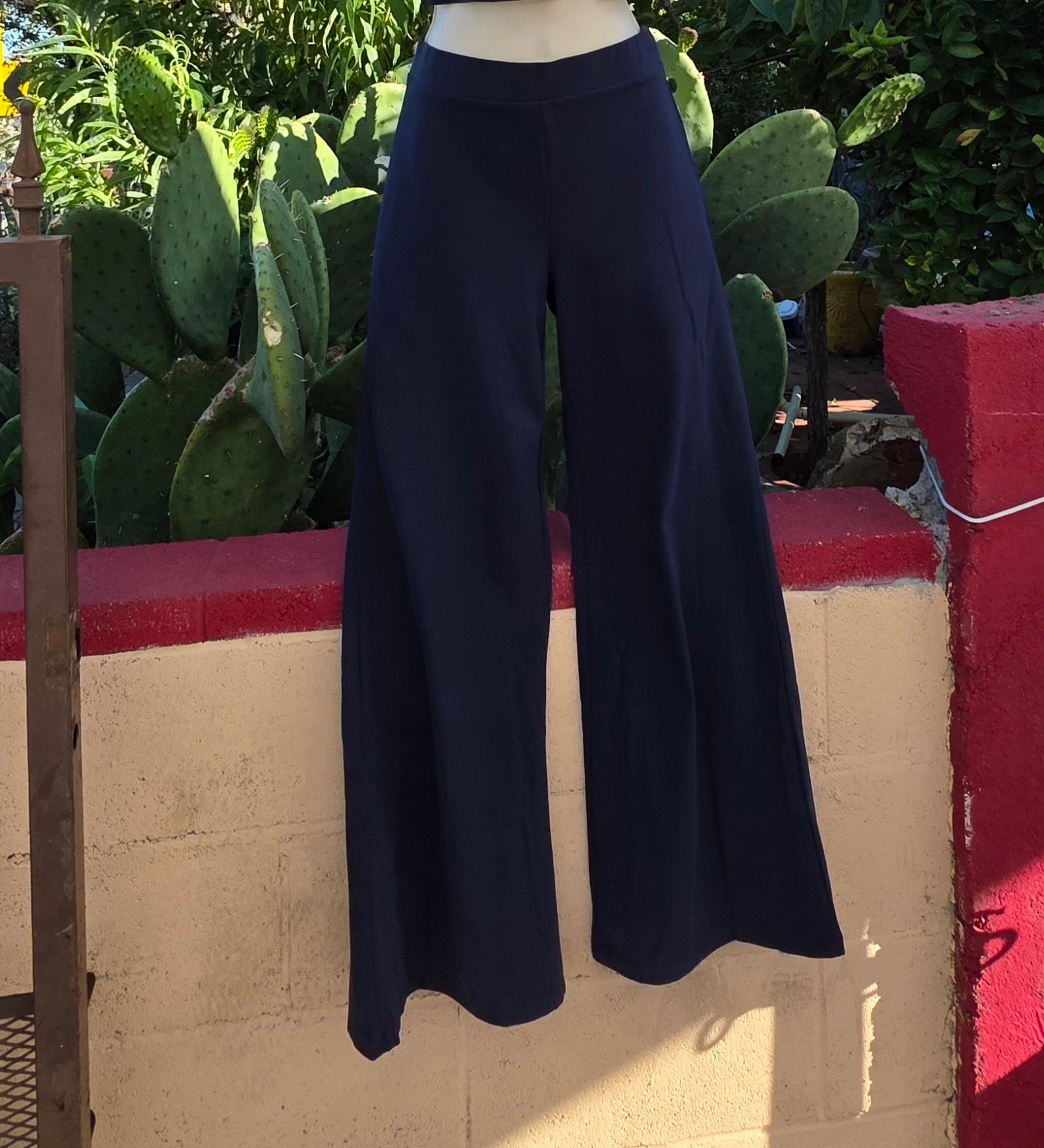 Navy pants